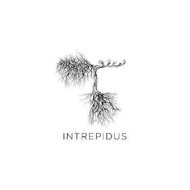 Intrepidus