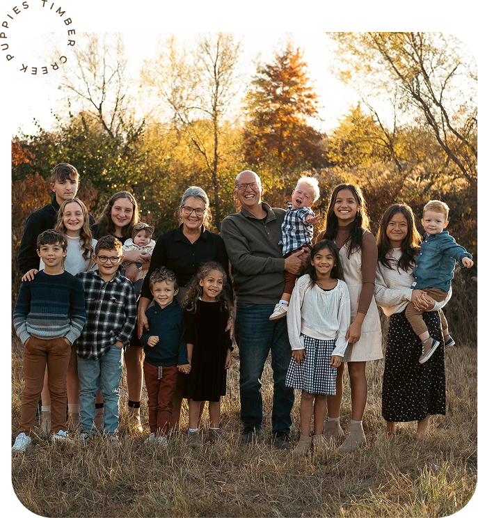 A large family posing outdoors in a grassy field during golden hour, with trees in the background.