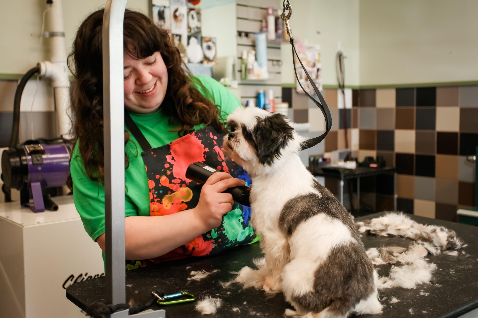Woman grooming a small dog