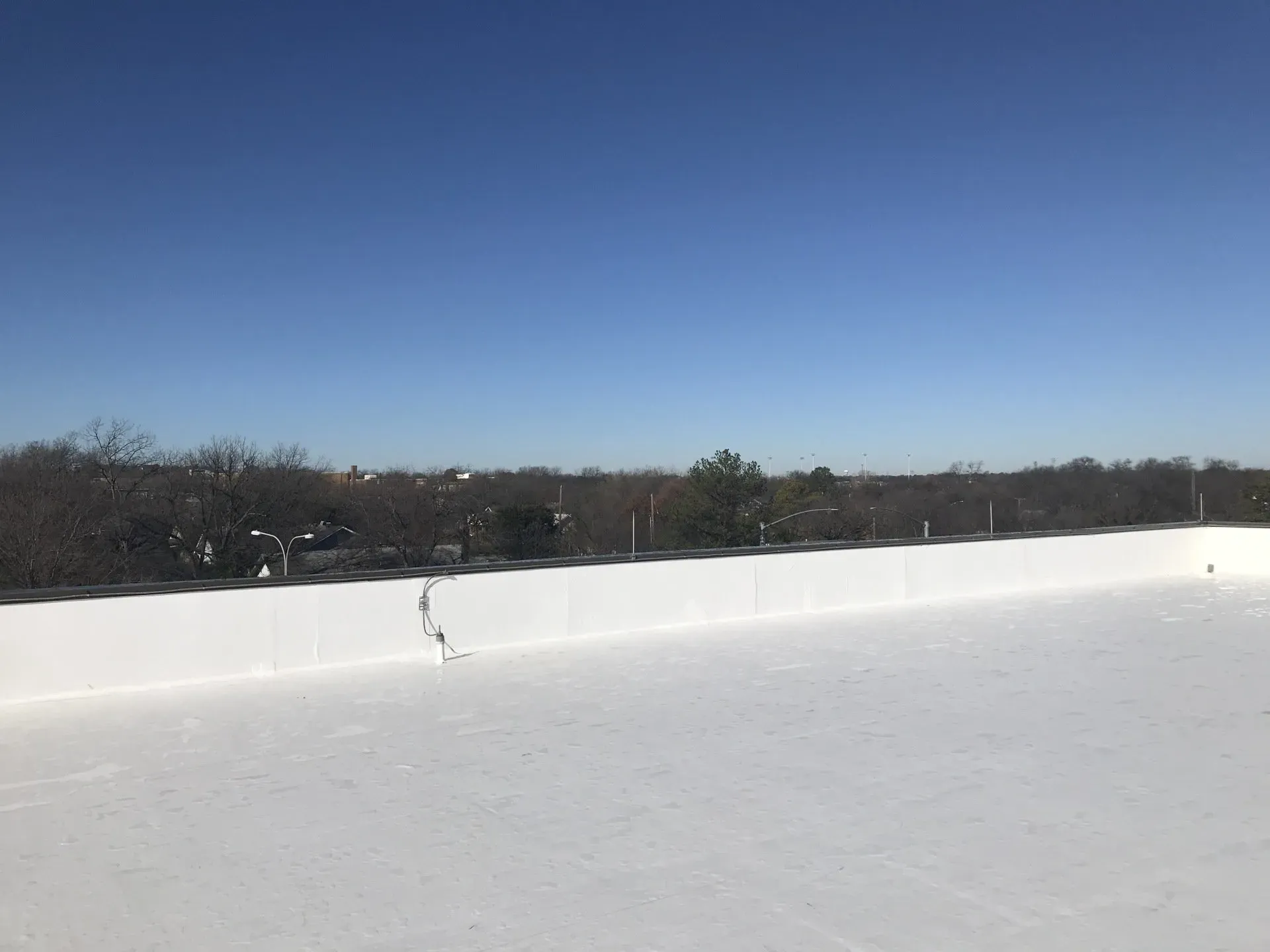 A snowy field with trees in the background and a blue sky in the background.