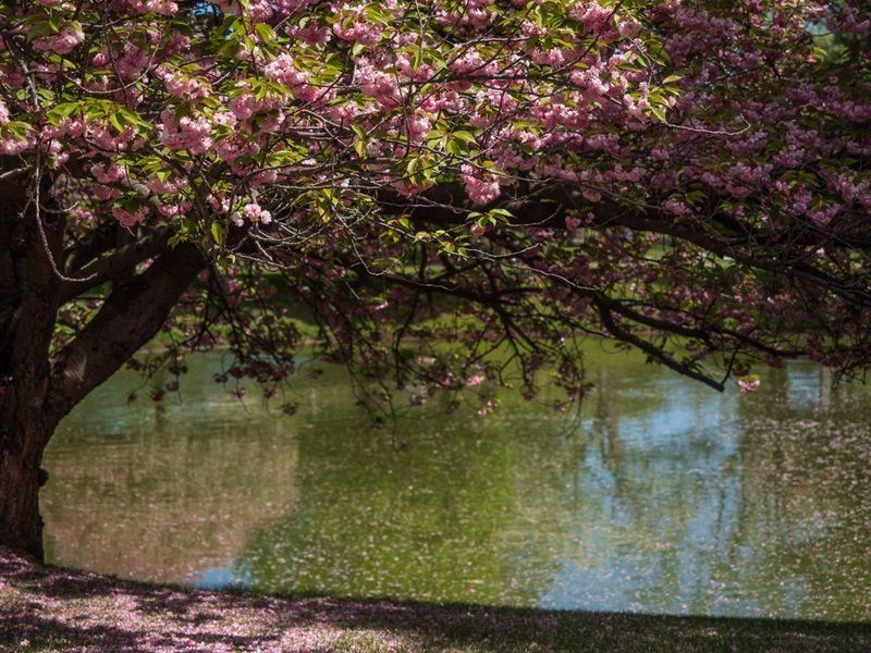 Spring Cemetery Gallery