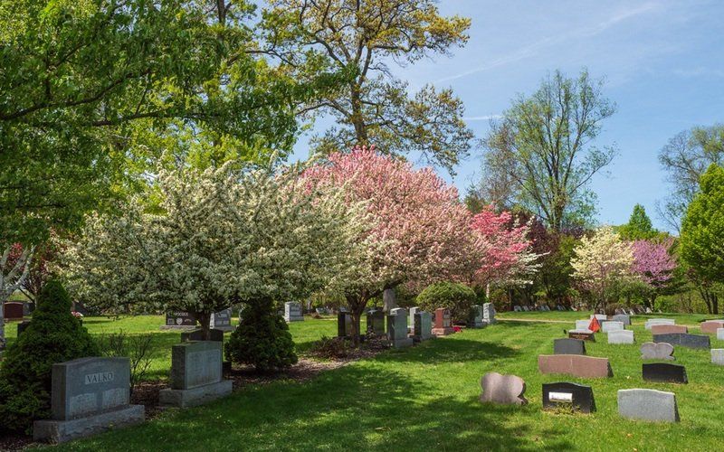 Spring Cemetery Gallery
