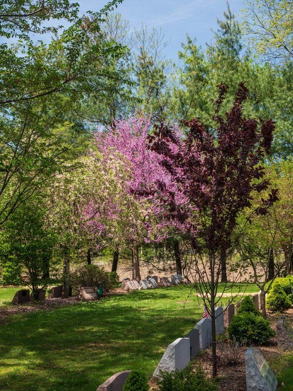 Spring Cemetery Gallery