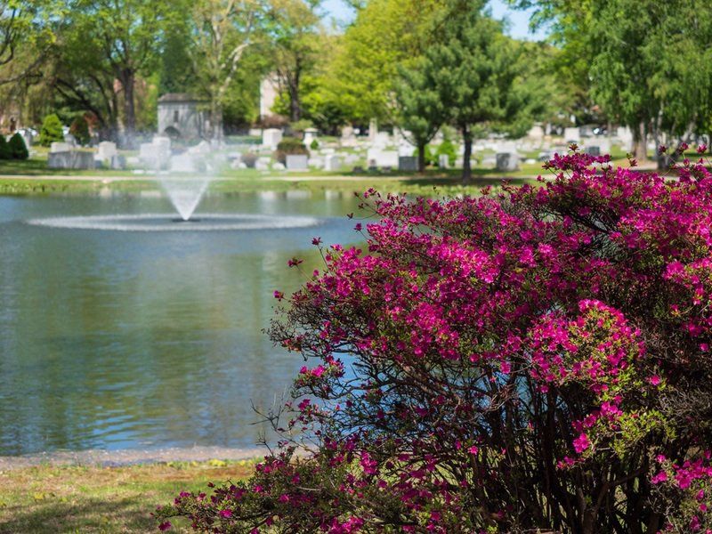 Spring Cemetery Gallery