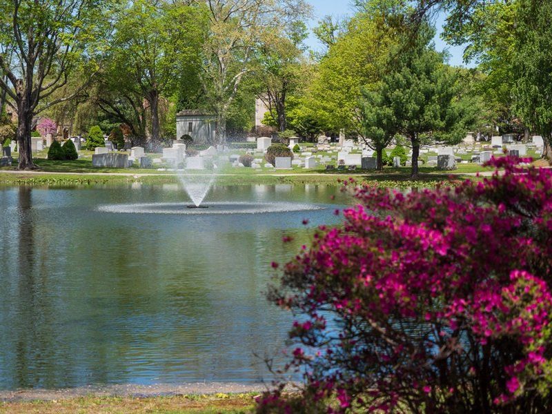 Spring Cemetery Gallery