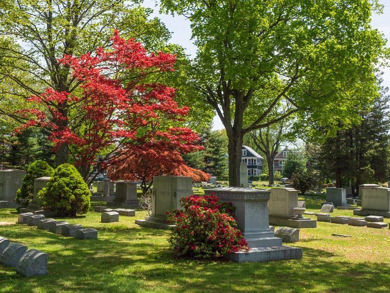 Spring Cemetery Gallery
