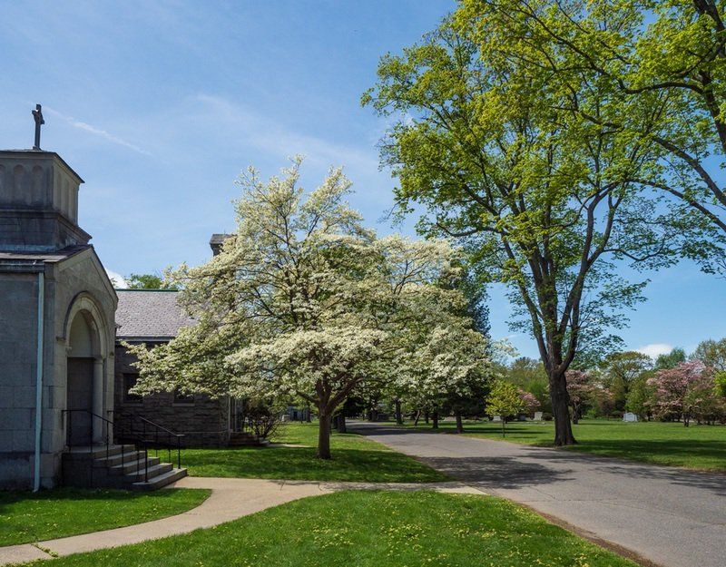 Spring Cemetery Gallery
