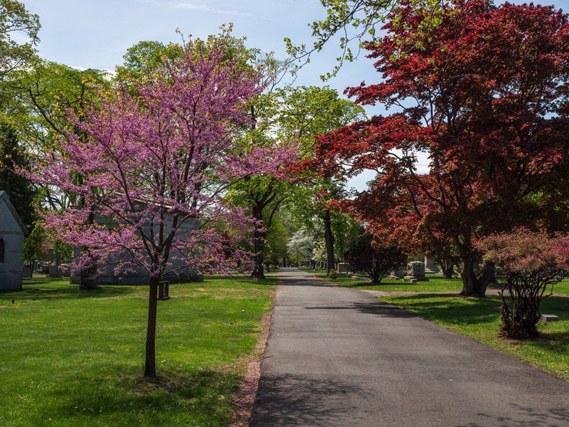 Spring Cemetery Gallery