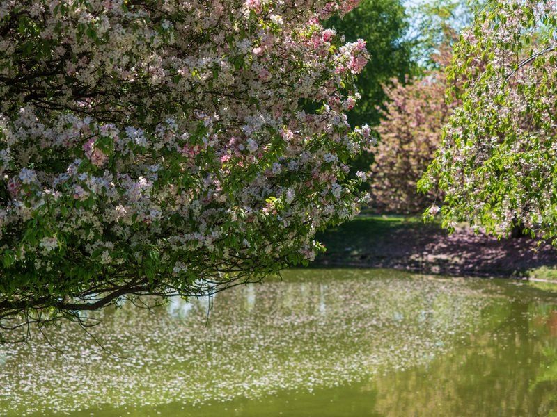 Spring Cemetery Gallery