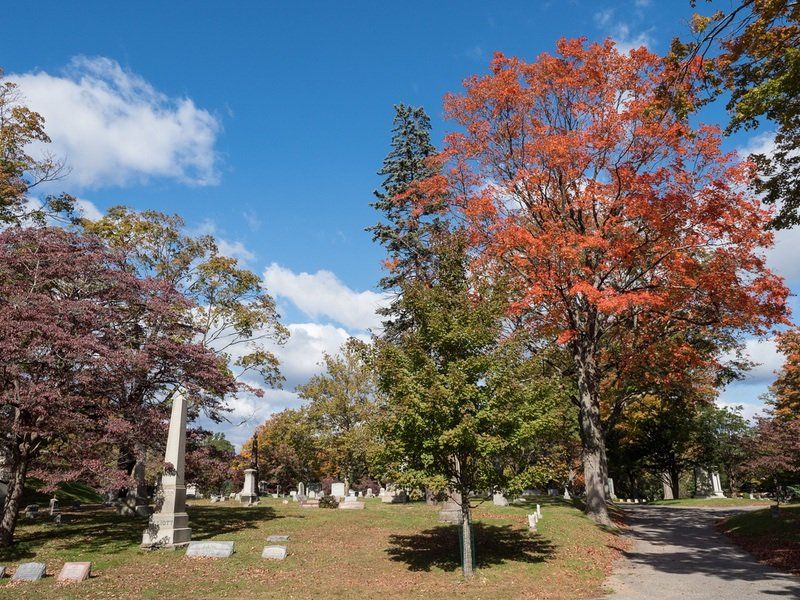Autumn Cemetery Gallery