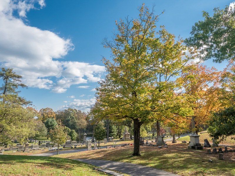 Autumn Cemetery Gallery