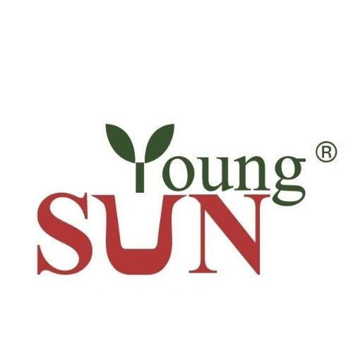 Young Sun