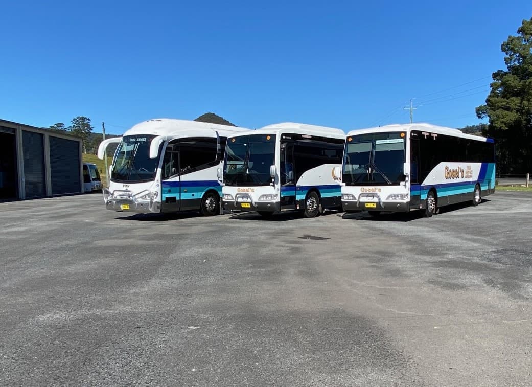 Fleet of School Buses in Carpark — Bus Service Operates in the Tweed Shire, NSW