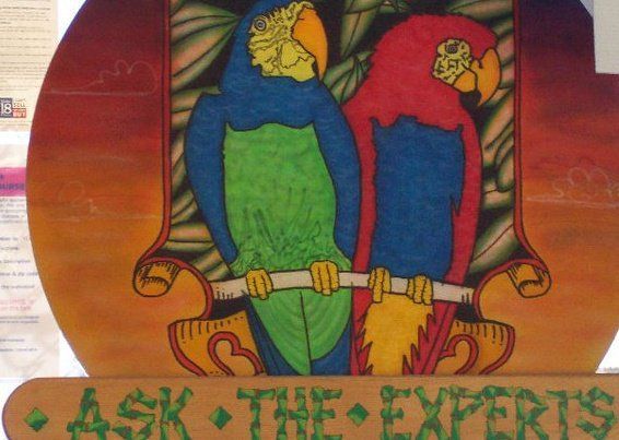 Ask The Experts — Braunfels, TX — R & H Stores