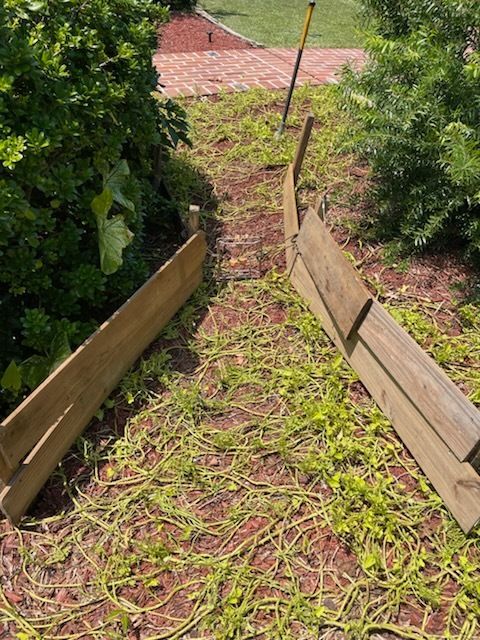 Wooden border pieces on overgrown, vine-covered brick path, surrounded by greenery, garden setting.