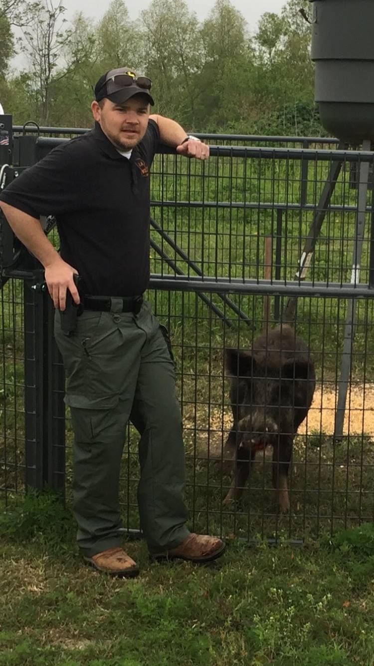 Man in uniform stands by a fenced enclosure with a wild pig inside. Outdoors, green grass.