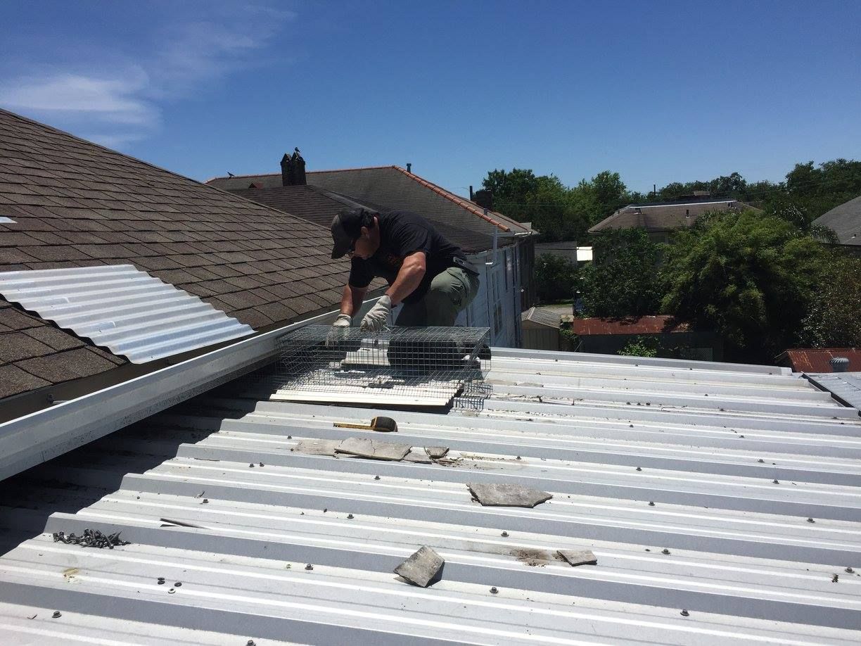 Man on a corrugated metal roof, installing a vent; blue sky, sunny day.