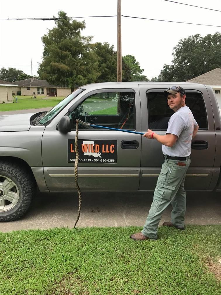Man with a snake, next to a truck with the words 