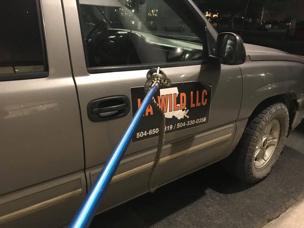 Truck door being pried open with a long, blue tool. The truck is silver with a company logo.