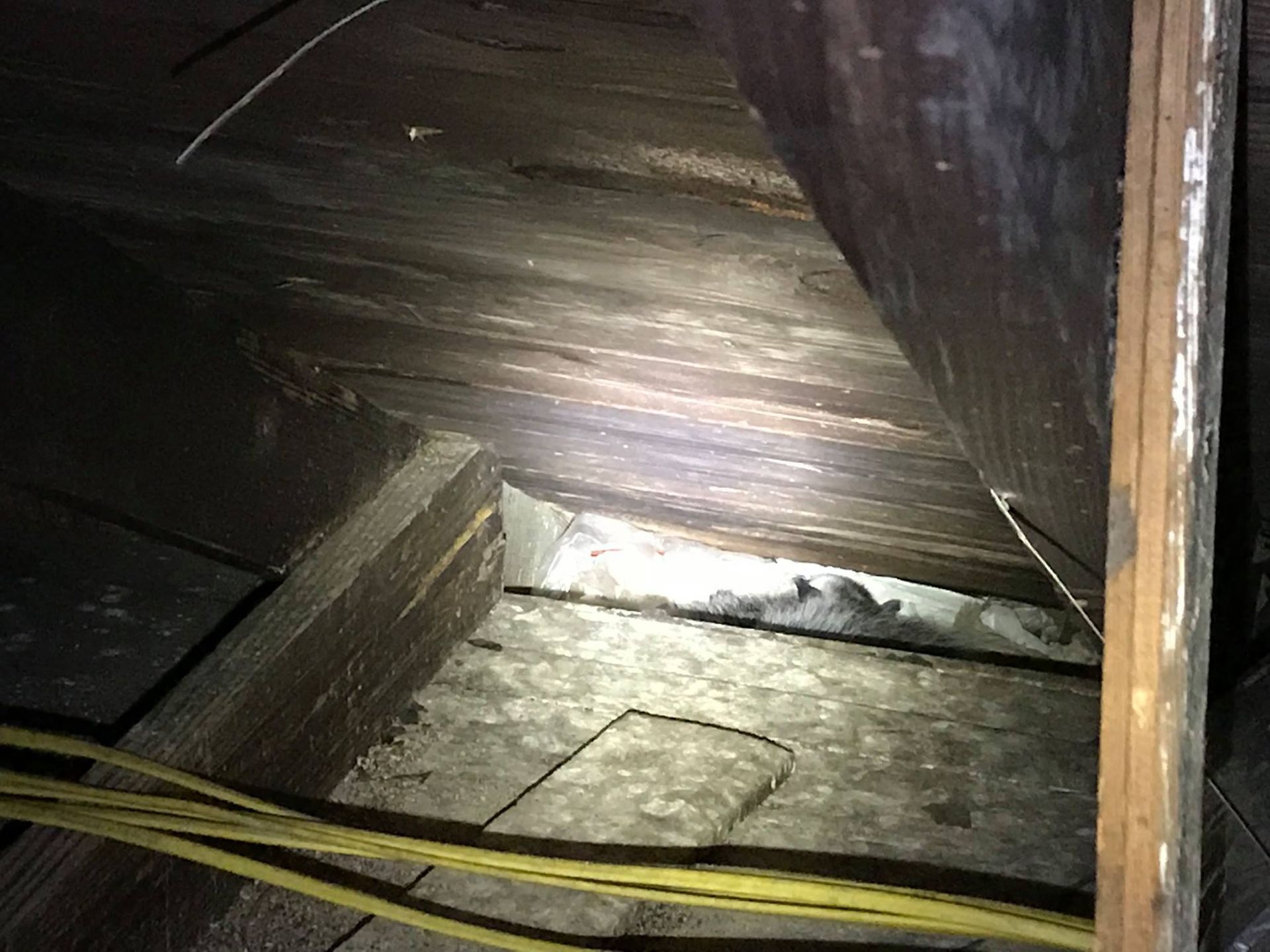 Dark attic space with wooden beams and insulation, illuminated by a light source.