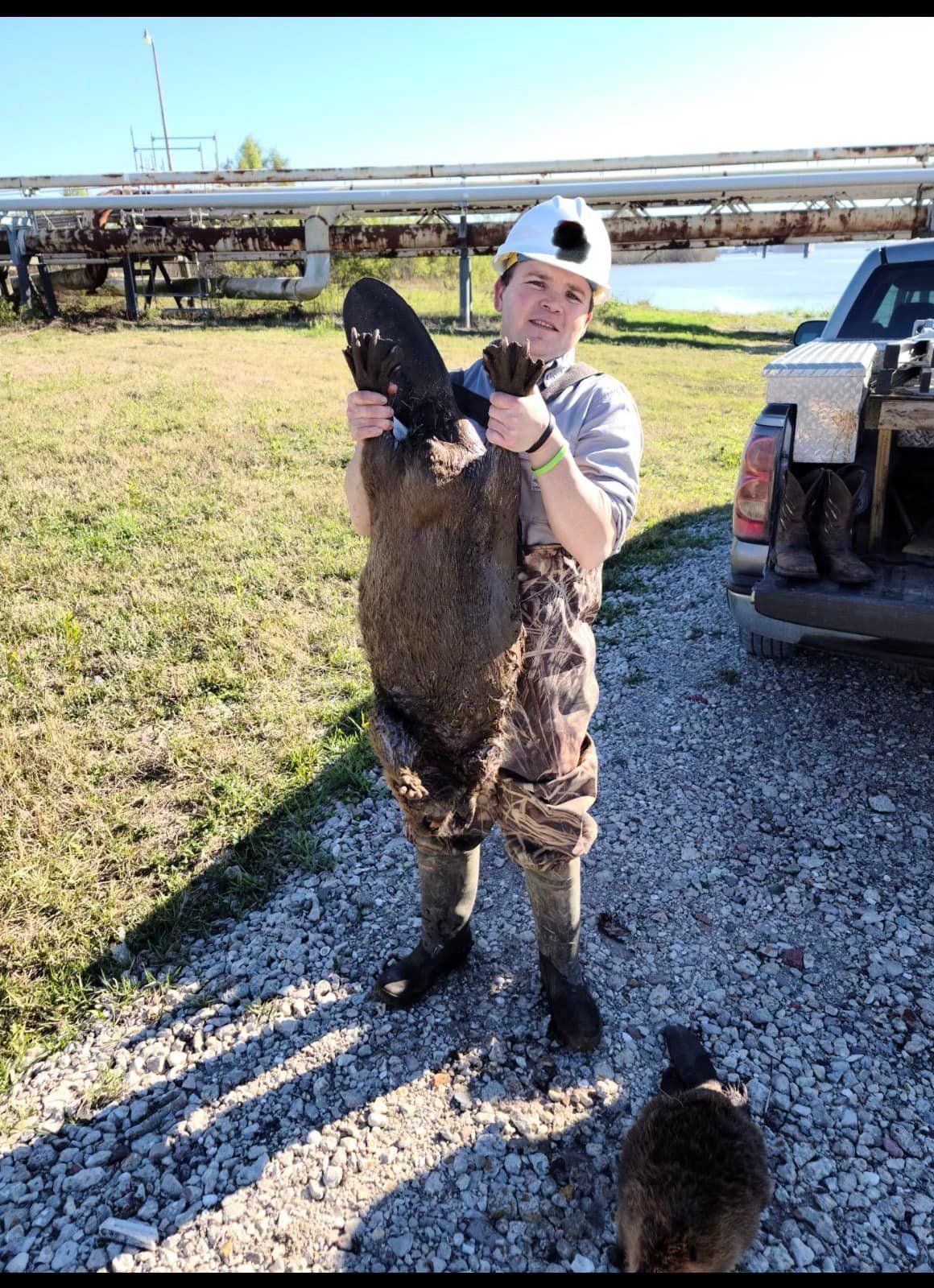 Person in waders holds a large, muddy beaver near a body of water, smiling.