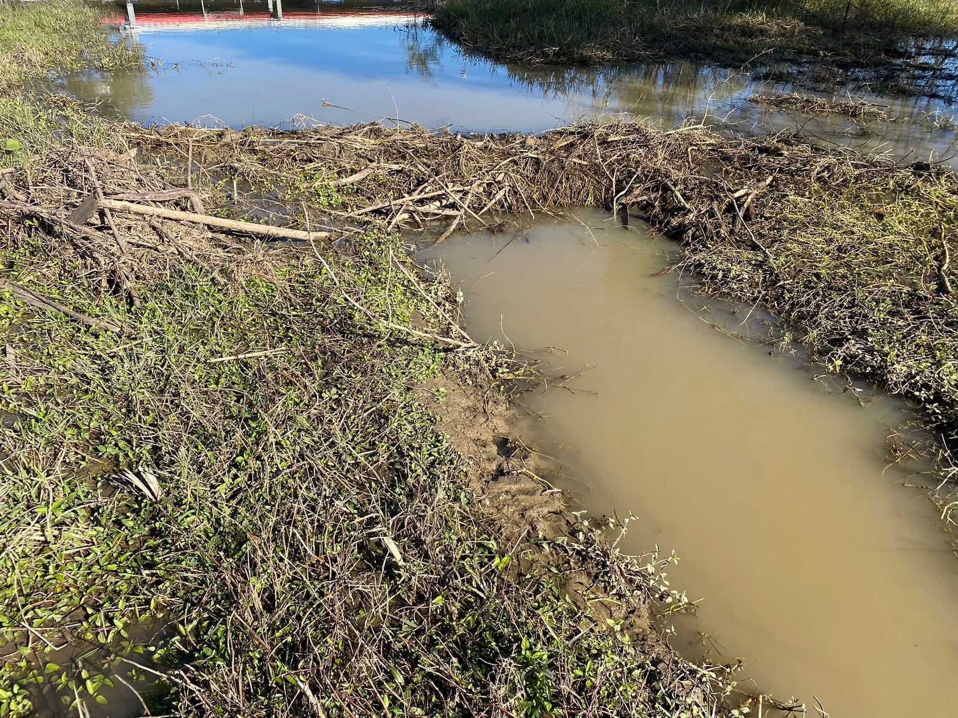 Muddy, flooded area with debris and green vegetation. A boat dock is in the background.