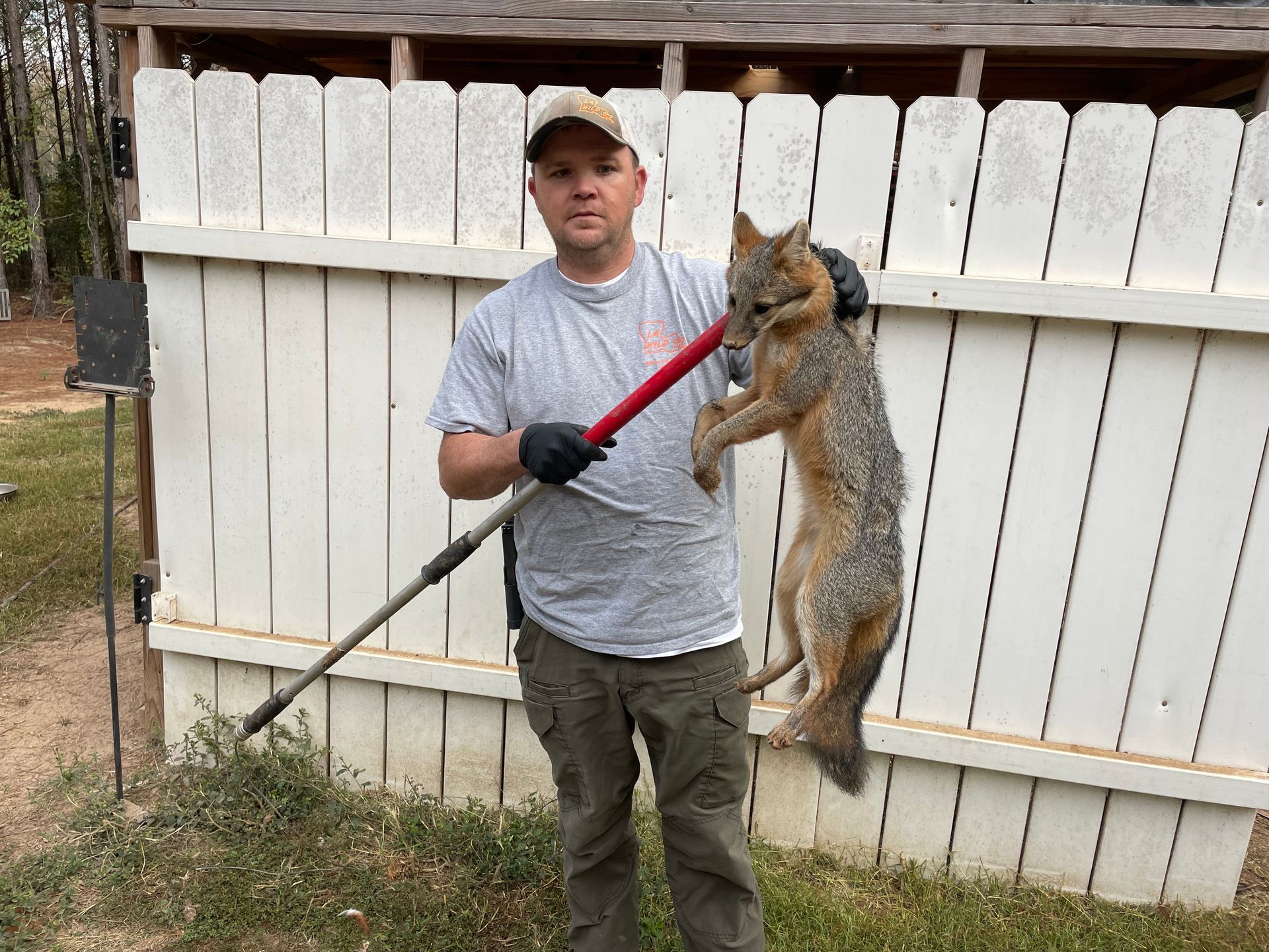 Man holding a dead gray fox in front of a white fence. He wears a cap, gloves, and green pants.