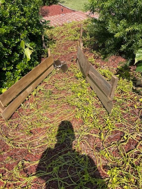 Overgrown roof with two wooden planter boxes. Shadow of person in foreground.