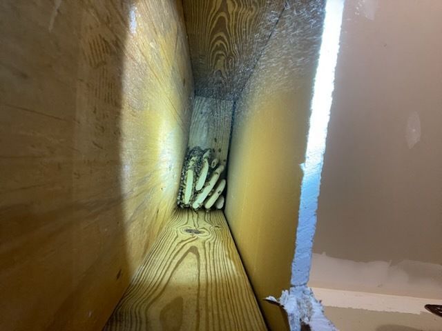 Wasp nest in a wooden frame. Yellow and brown stripes, tight space, view from above.