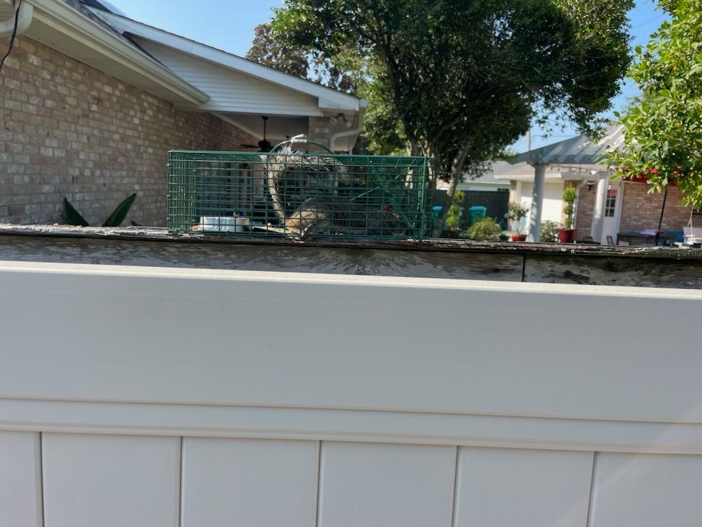 White fence with a green cage on a wall, possibly containing an animal, near a house.
