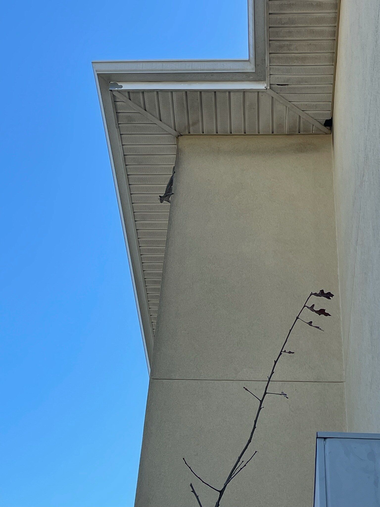 Corner of a beige building with a white roof and blue sky. A black branch-like design is on the wall.