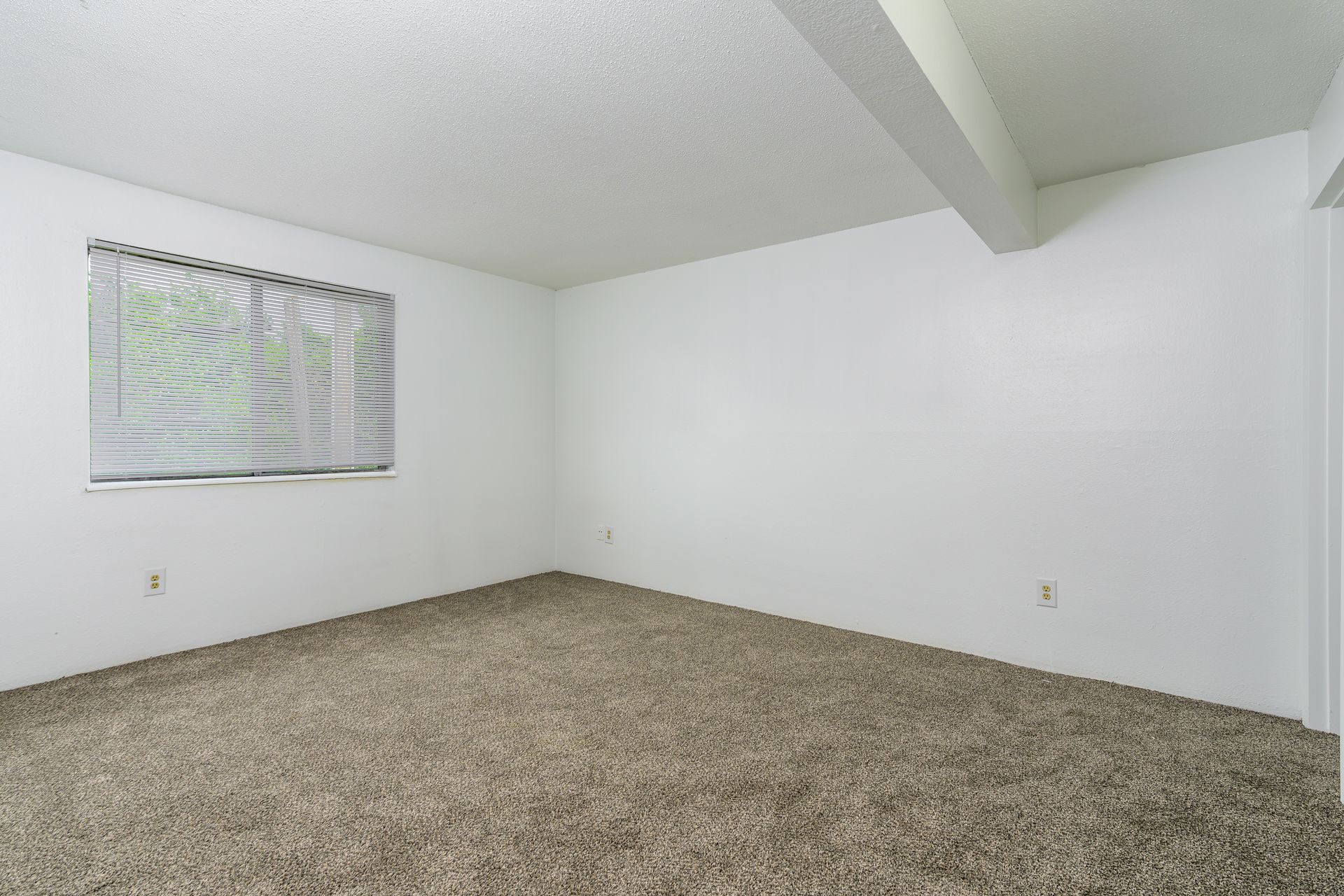 An empty room with a window and a carpeted floor.