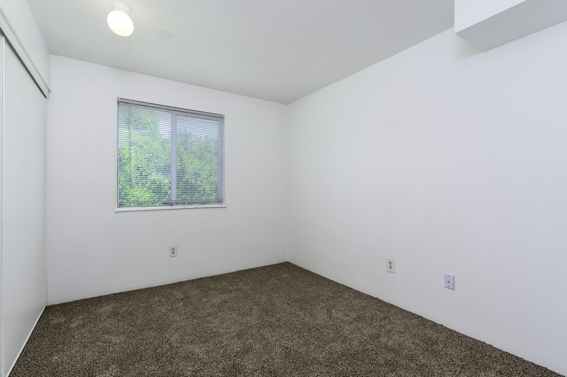 An empty bedroom with a window and carpet.