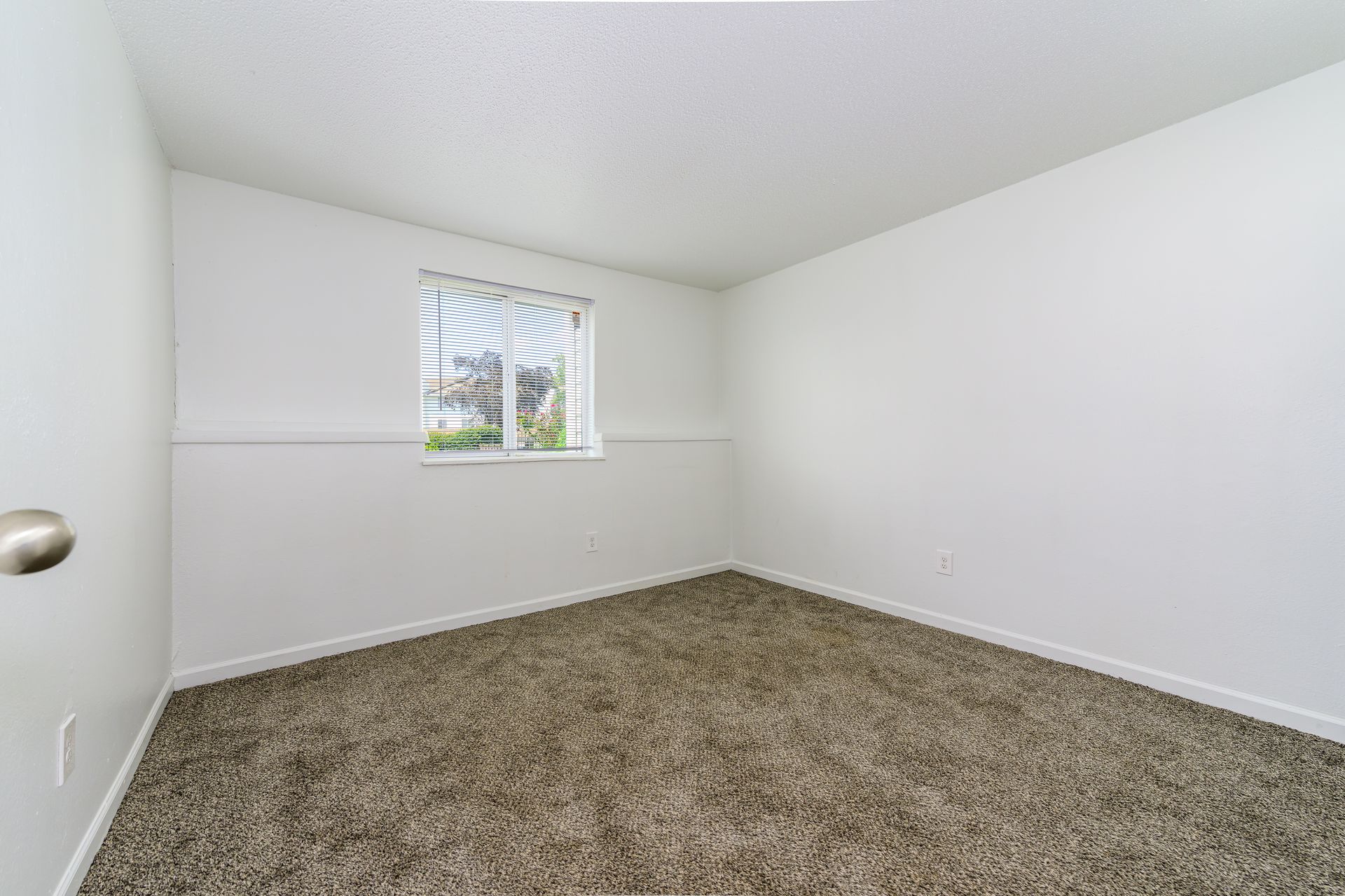 An empty bedroom with a window and carpet.