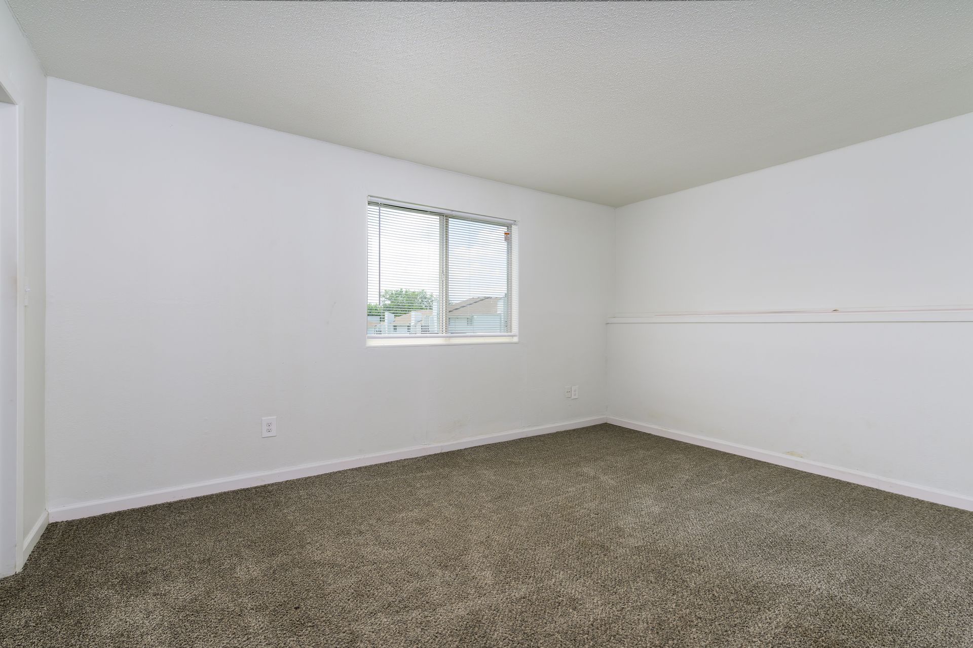 An empty bedroom with a window and a carpeted floor.