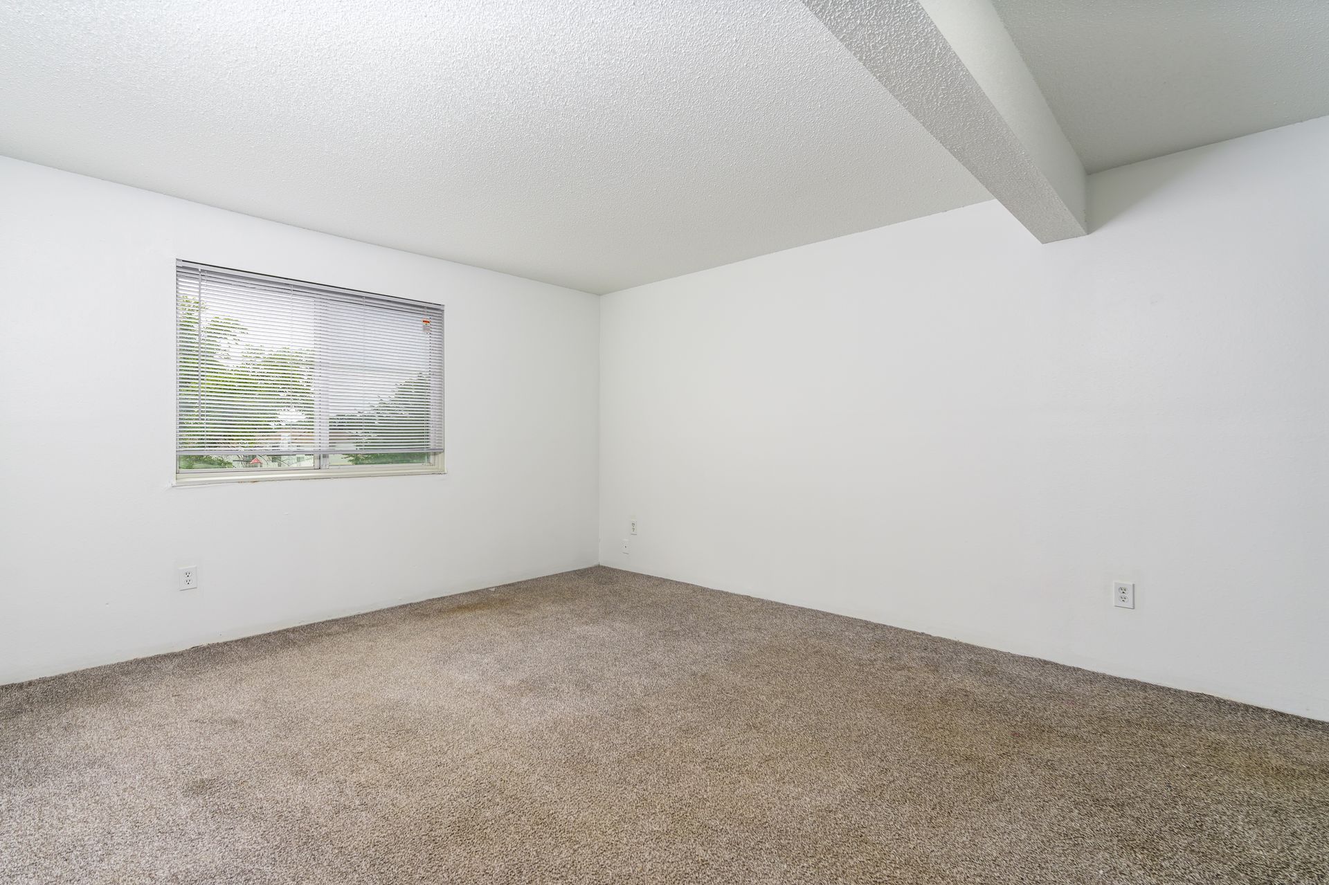 An empty bedroom with a window and a carpeted floor.