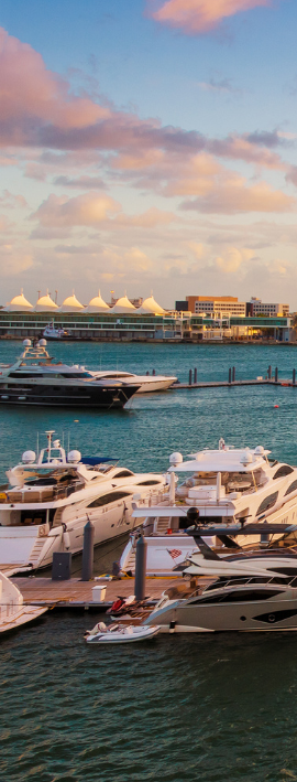 Modern white kitchen with island, wood accents, and gold fixtures.