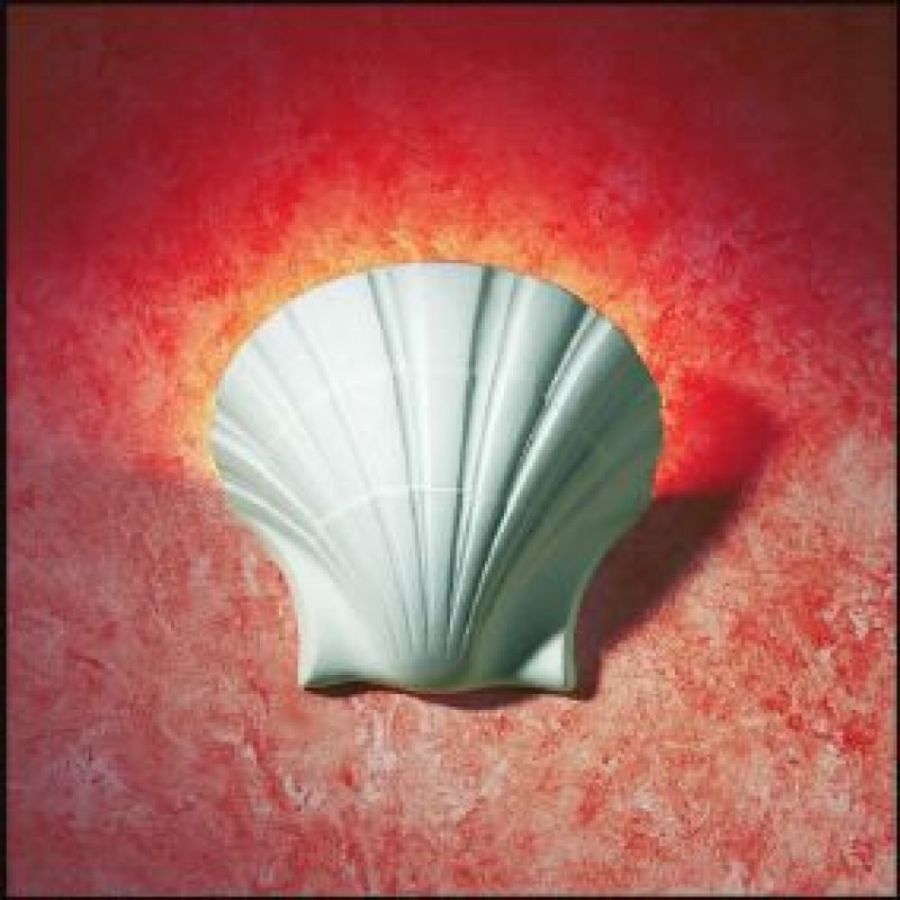 Diffusore luce a conchiglie