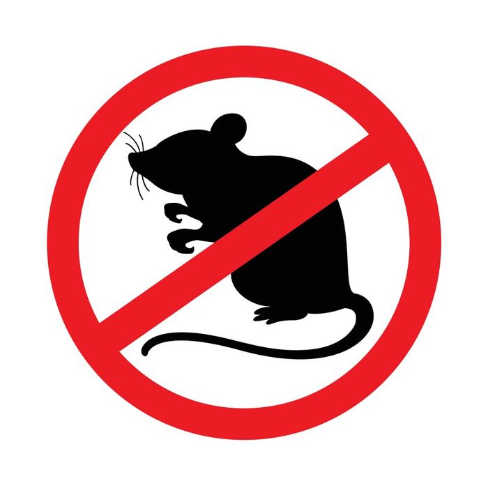 simbolo eliminazione topi e ratti