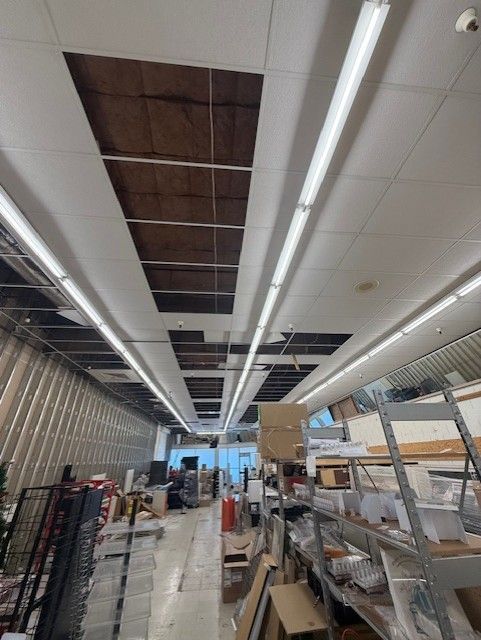Modern bathroom with floating wooden vanity, white vessel sink, and a glass shower.