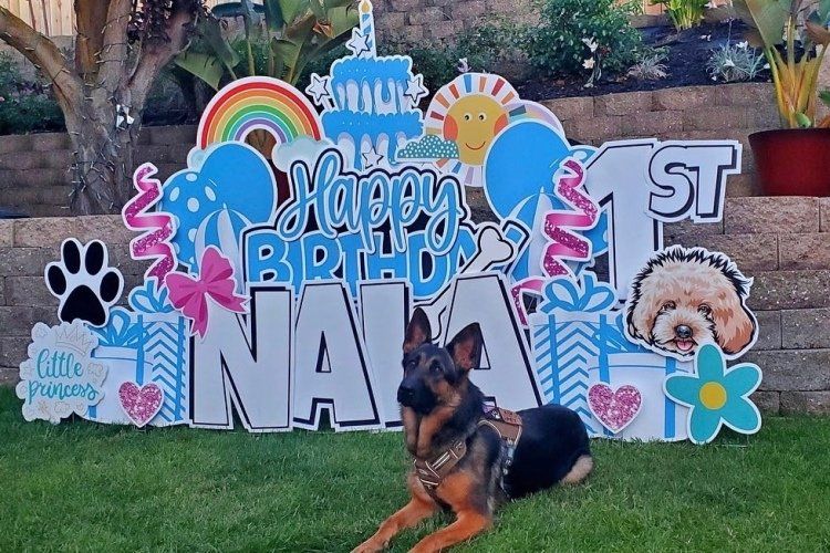 Birthday yard card for a puppy. 