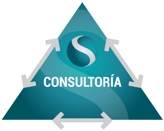 Acción Sinérgica Consultores