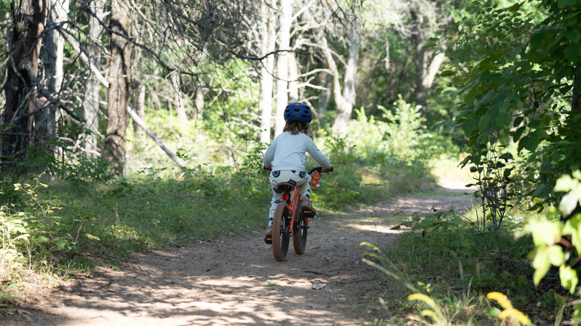 A young boy is riding a bike down a dirt path in the woods.