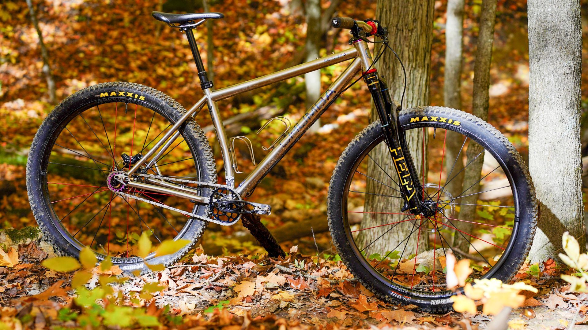 A bicycle is parked in the woods next to a tree.