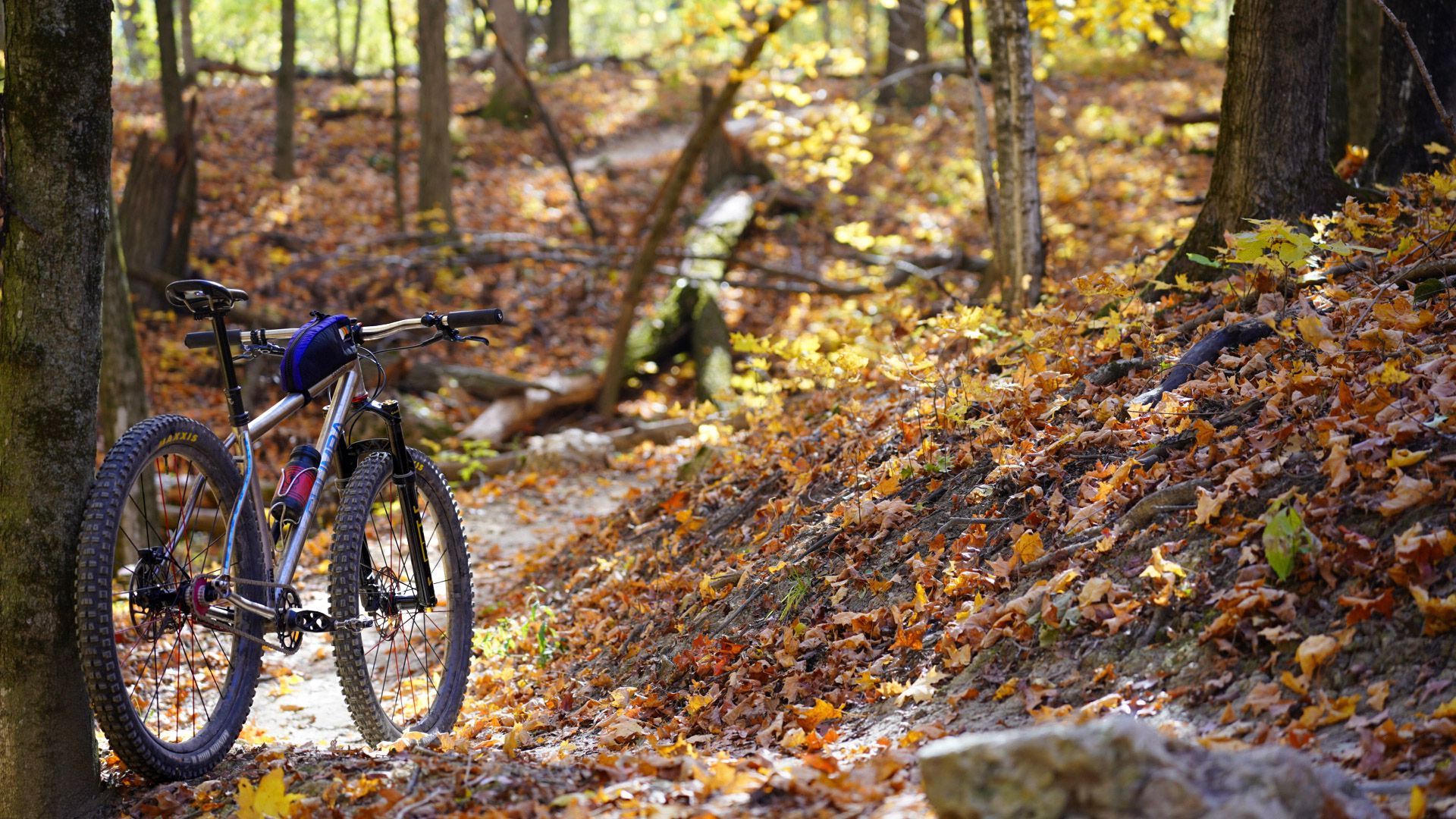 A bicycle is parked on a trail in the woods.