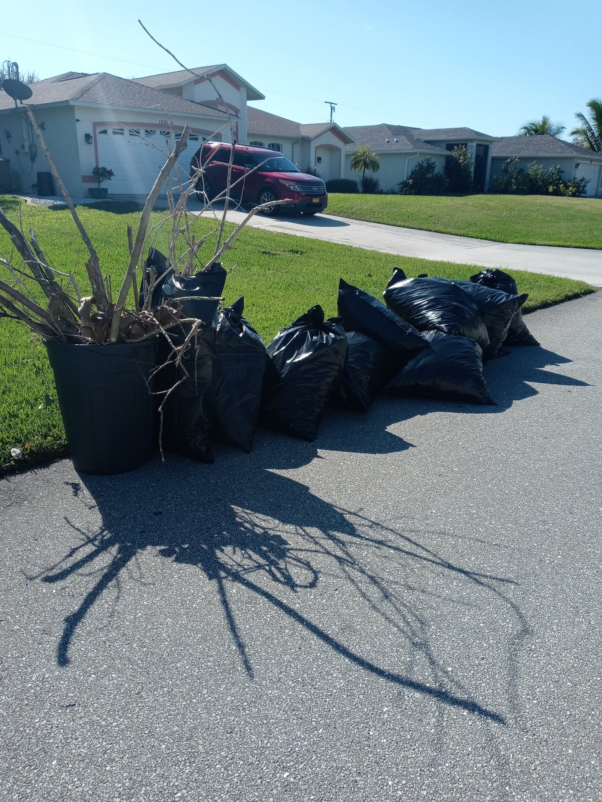 Black trash bags and potted plant on a sunny sidewalk in front of a suburban house.
