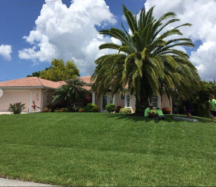 Pink house with palm trees on a green lawn under a cloudy blue sky. Landscapers working.