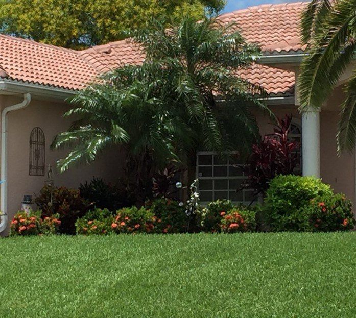 Lush green lawn in front of a house with pink walls, red-tiled roof, and palm trees in the garden.