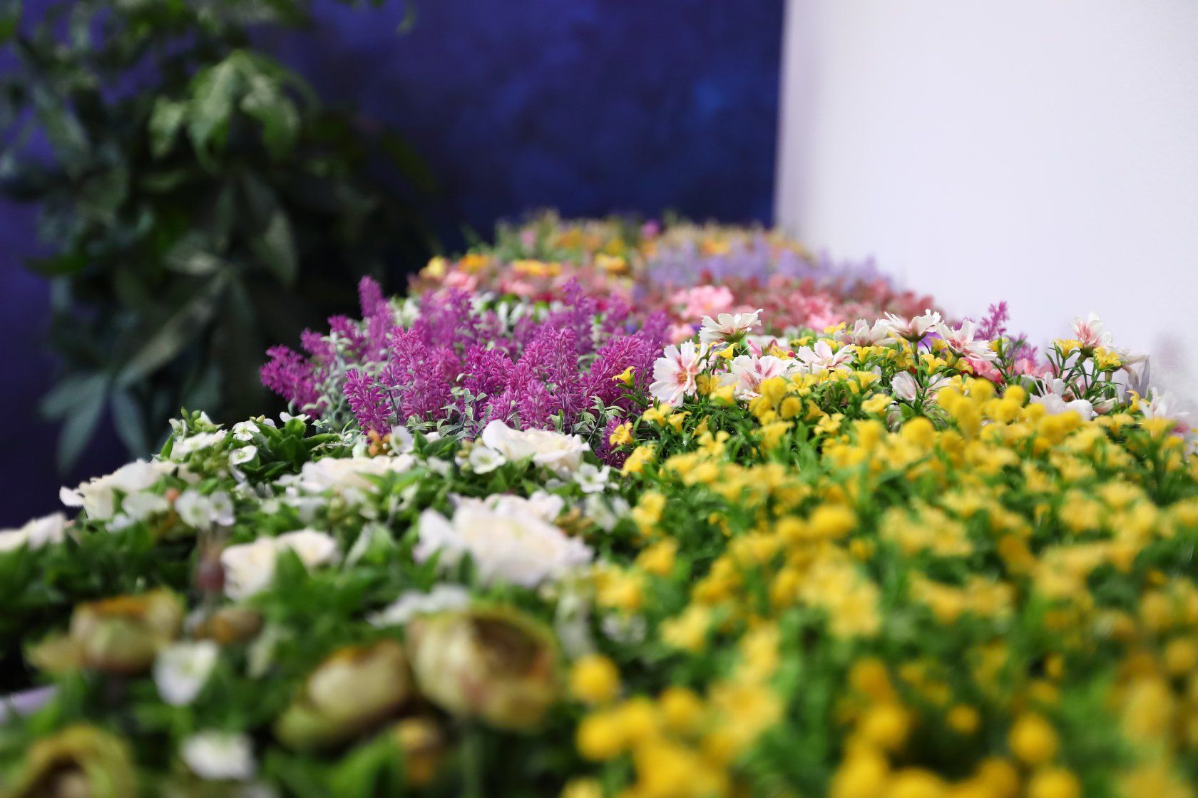 iside onoranze funebri