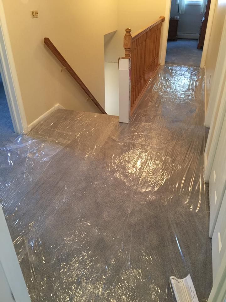 painting services 24